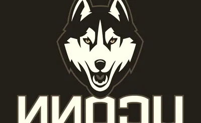 UConn Huskies