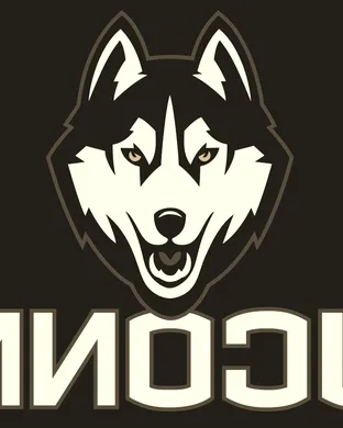 Uconn Huskies Vs. Michigan Wolverines